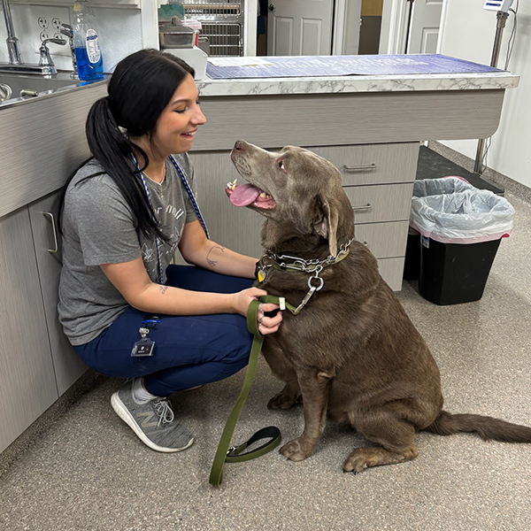 Dog in tx room with TM RESIZED