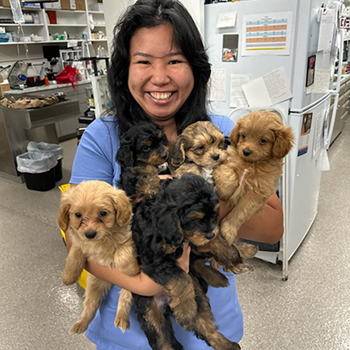 Puppies RESIZED